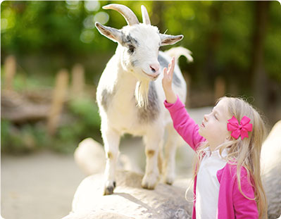 Attraktionen für Kinder in Zypern