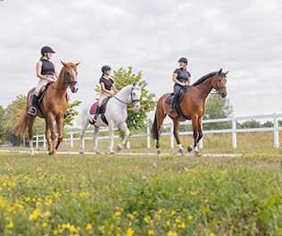 Reiten